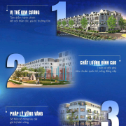 vi-the-thanh-dong-metropolis